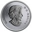 Canada 25 Cents Coronation 2013 Specimen KM# 1432 ELIZABETH II D ∙ G ∙ REGINA coin obverse