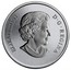 Canada 25 Cents Purple Coneflower & Eastern Tailed Blue 2013 Specimen KM# 1353 ELIZABETH II D∙G∙REGINA coin obverse