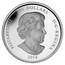 Canada 250 Dollars Year of the Horse 2014 Proof KM# 1579 ELIZABETH II 250 DOLLARS D∙G∙REGINA 2014 SS coin obverse