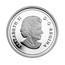 Canada 3 Dollars Wait for me - Daddy 2014 Proof KM# 1712 ELIZABETH II D∙G∙REGINA coin obverse