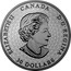 Canada 30 Dollars Canadian National Institute for the Blind CNIB 100th Anniversary 2018 Proof ELIZABETH II CANADA D G REGINA 30 DOLLARS SB coin obverse