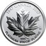 Canada 30 Dollars Fractional Set - A Royal Wedding Anniversary 2017 Proof 1947 CANADA 2017 9995 PLATINUM 1/10 OZ PLATINE MC coin reverse