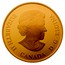 Canada 300 Dollars Queen's 80th Birthday 2006 Proof KM# 679 ELIZABETH II D ∙ G ∙ REGINA CANADA coin obverse