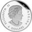 Canada 4 Dollars Bald Eagle 2015 KM# 1886 ELIZABETH II D G REGINA 4 DOLLARS SB coin obverse
