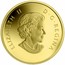 Canada 5 Dollars Bison 2014 Proof KM# 1778 ELIZABETH II D ∙ G ∙ REGINA coin obverse