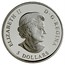 Canada 5 Dollars Breast Cancer Awareness 2006 Proof KM# 658 ELIZABETH II D∙G∙REGINA 5 DOLLARS coin obverse