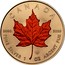 Canada 5 Dollars Four Seasons: Maple Leaf, Autumn 2016 BU CANADA 9999 9999 FINE SILVER 1 OZ ARGENT PUR coin reverse