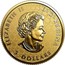 Canada 5 Dollars Fractional Maple Leaf Tribute 2018 Reverse Proof ELIZABETH II D • G • REGINA 5 DOLLARS SB coin obverse