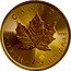 Canada 5 Dollars Gilded Maple Leaf 2017 CANADA 9999 9999 FINE SILVER 1 OZ ARGENT PUR coin reverse