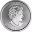 Canada 5 Dollars Lucky Dragon 2017 BU ELIZABETH II 5 DOLLARS 2017 SB coin obverse