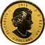 Canada 5 Dollars Maple Leaf (E=mc2 privy) 2015 Reverse Proof ELIZABETH II 2015 D∙G∙REGINA 5 DOLLARS coin obverse