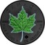 Canada 5 Dollars Maple Leaf Four Seasons - Summer 2017 BU CANADA 9999 9999 FINE SILVER 1 OZ ARGENT PUR coin reverse
