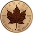 Canada 5 Dollars Maple Leaf Four Seasons - Winter 2016 BU CANADA 9999 9999 FINE SILVER 1 OZ ARGENT PUR coin reverse