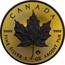 Canada 5 Dollars Maple Leaf (Gold Shadows Edition) 2016 BU CANADA 9999 9999 FINE SILVER 1 OZ ARGENT PUR coin reverse