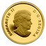 Canada 5 Dollars Norman Bethune's First Mobile Blood Transfusion Vehicle 75th Anniversary 2011 Proof KM# 1149 ELIZABETH II D∙G∙REGINA coin obverse