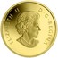 Canada 5 Dollars Overlaid Majestic Maple Leaves 2014 Proof KM# 1790 ELIZABETH II D ∙ G ∙ REGINA coin obverse