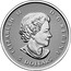 Canada 5 Dollars Red Maple Leaf 2015 ELIZABETH II D • G • REGINA 5 DOLLARS SB coin obverse