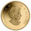Canada 5 Dollars The Beaver 2013 Proof KM# 1395 ELIZABETH II D∙G∙REGINA coin obverse