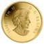 Canada 5 Dollars The Polar Bear 2013 Proof KM# 1401 ELIZABETH II D∙G∙REGINA coin obverse