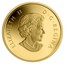 Canada 5 Dollars The Wolf 2013 Proof KM# 1454 ELIZABETH II D∙G∙REGINA coin obverse