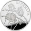 UK 5 Pounds Poppies 2018 Proof REMEMBER coin reverse
