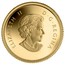 Canada 50 Cents 300th Anniversary of Louisbourg 2013 Proof KM# 1496 ELIZABETH II D ∙ G ∙ REGINA coin obverse