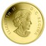 Canada 50 Cents Peregrine Falcon 2011 Proof KM# 1206 ELIZABETH II D∙G∙REGINA coin obverse