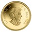 Canada 50 Cents Starfish - Sea Creatures 2013 Proof KM# 1493 ELIZABETH II D∙G∙ REGINA coin obverse