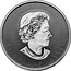 Canada 50 Dollars 30th Anniversary of the Silver Maple Leaf 2018 Reverse Proof ELIZABETH II 50 DOLLARS YEAR coin obverse