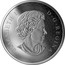 Canada 50 Dollars Celebrating Canada's Icons: Maple Leaf 2019 ELIZABETH II D • G • REGINA SB coin obverse