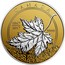 Canada 50 Dollars Maple Leaf Fractional Set - A Celebration of Canada (1867-2017) 2016 CANADA 1867 2017 9999 FINE GOLD 1 OZ OR PUR LTK coin reverse