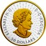 Canada 50 Dollars Puzzle Coin. Canada 150 2017 ELIZABETH II D G REGINA 50 DOLLARS SB coin obverse