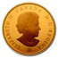 Canada 500 Dollars The Parliament Buildings 2009 Proof KM# 897 ELIZABETH II CANADA D G REGINA coin obverse