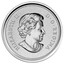 Canada 1 Cent Farewell to the Penny 2012 Proof KM# 1427 ELIZABETH II D G REGINA coin obverse