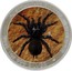 Australia 1 Dollar Funnel-Web Spider (Colorized) 2015 P AUSTRALIAN FUNNEL-WEB SPIDER 2015 1OZ 999 SILVER coin reverse