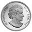 Canada 10 Dollars 2014 FIFA™ 2014 Proof KM# 1533 ELIZABETH II D ∙ G ∙ REGINA SB coin obverse