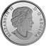 Canada 10 Dollars Cinnamon Teal 2015 KM# 1966 ELIZABETH II D G REGINA coin obverse