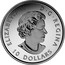 Canada 10 Dollars Great Blue Heron 2017 Matte Proof ELIZABETH II D ∙ G ∙ REGINA 10 DOLLARS coin obverse