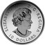 Canada 10 Dollars Lighthouse at Peggys Cove 2017 Matte Proof ELIZABETH II D ∙ G ∙ REGINA 10 DOLLARS coin obverse