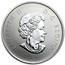 Canada 10 Dollars Maple Leaf 2013 Proof KM# 1473 ELIZABETH II D G REGINA coin obverse