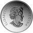 Canada 10 Dollars Mountain Biking 2015 Matte Proof ELIZABETH II D ∙ G ∙ REGINA coin obverse