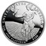 USA $100 American Eagle 2011 W Proof KM# 518 UNITED STATES OF AMERICA 1OZ. .9995 PLATINUM $100 W coin reverse
