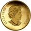 Canada 100 Dollars Parliament Buildings Fire 2016 Proof ELIZABETH II D ∙ G ∙ REGINA coin obverse