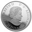 Canada 20 Dollars A Historic Reign 2015 Proof KM# 2020 ELIZABETH II D∙G∙REGINA 20 DOLLARS coin obverse