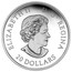 Canada 20 Dollars Canadian Underwater Life 2017 Proof ELIZABETH II D. G. REGINA CANADA 20 DOLLARS coin obverse