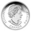 Canada 20 Dollars DC Comics Originals The Dark Knight 2016 Proof KM# 2132 ELIZABETH II D G REGINA CANADA coin obverse