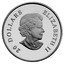 Canada 20 Dollars Holiday Pine Cones - Ruby 2010 Proof KM# 1066 20 DOLLARS ELIZABETH II coin obverse