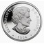Canada 20 Dollars Icebergs 2004 Proof KM# 611 ELIZABETH II D ∙ G ∙ REGINA ∙ 2004 ∙ coin obverse