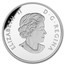 Canada 20 Dollars Iconic Polar Bear 2016 Proof ELIZABETH II D. G. REGINA coin obverse
