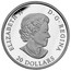 Canada 20 Dollars Reaching the Top 2016 Proof KM# A1905 ELIZABETH D. G. REGINA 20 DOLLARS coin obverse